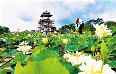 覃塘天气预报