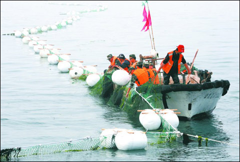 6月24日，黄岛边防大队干警在银沙滩海域修护一段受损的拦浒网。