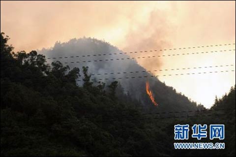 重庆巴南区渝黔高速公路吉庆隧道后山山火正在吞噬山林