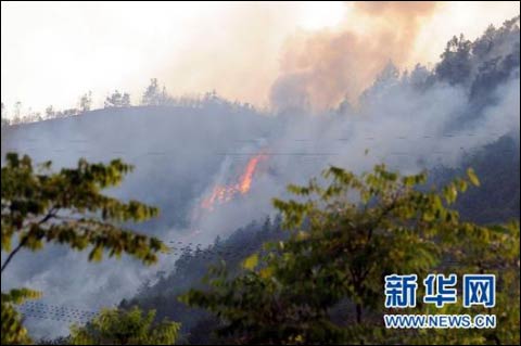 重庆巴南区渝黔高速公路吉庆隧道后山山火正在吞噬山林