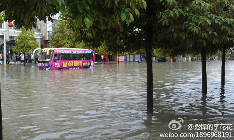 今天下午2:45，息县政府路已经可以“看海”。（来源：新浪微博）