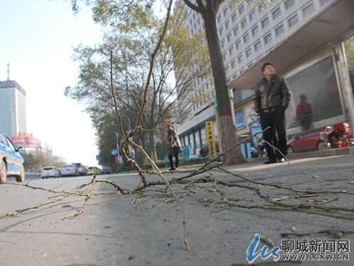 聊城今日最低温零下3℃ 月末或迎雨雪天气