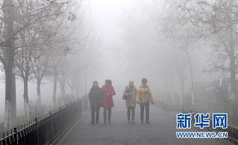 11月26日，几位市民走在乌鲁木齐市天津北路人行道上。