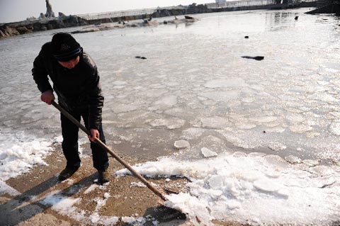 烟台持续低温海豹湾结冰（组图）